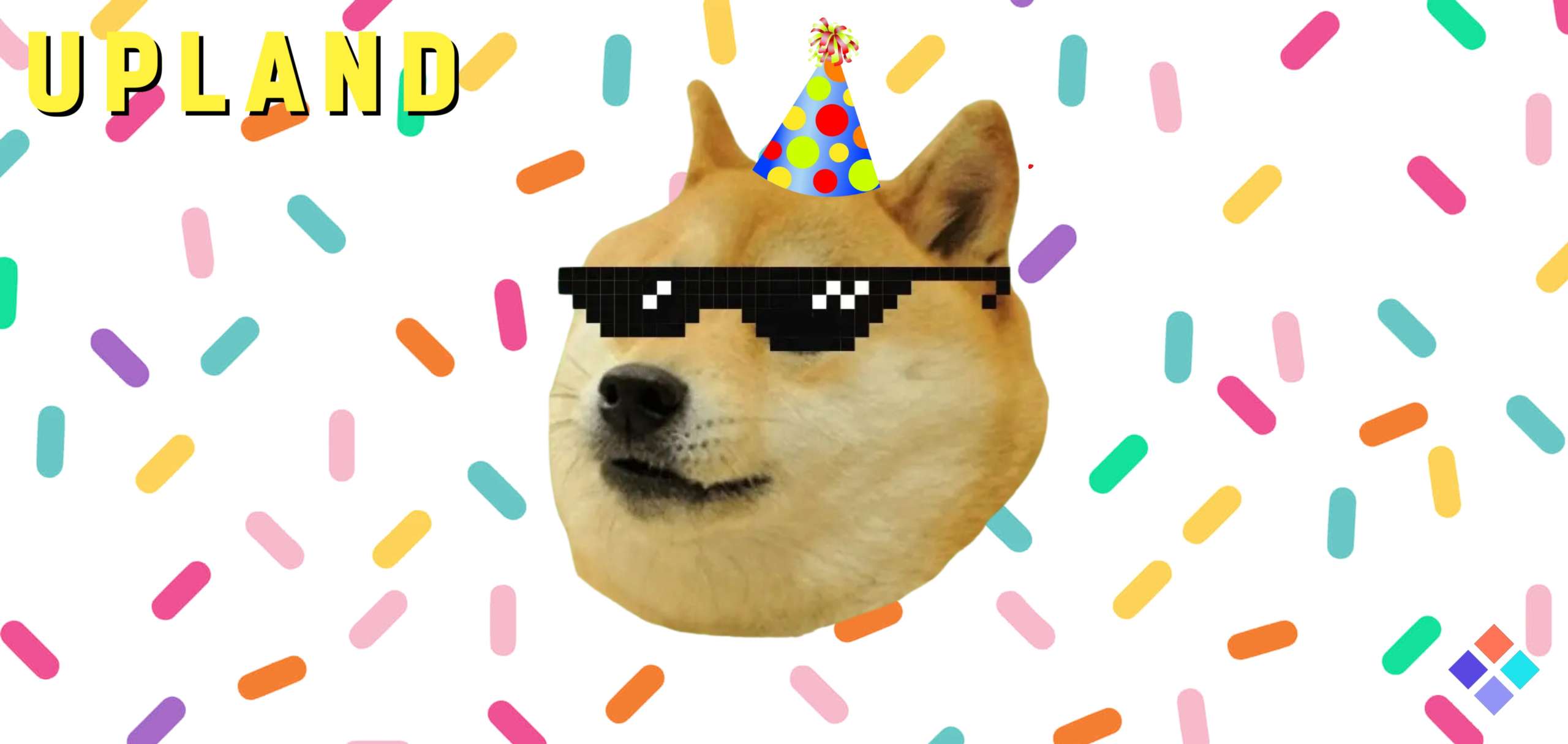 Upland Celebrates Kabosu Meme for 'International Doge Day'