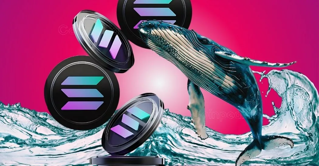 Whales Trigger a Huge Sell-Off Solana (SOL) Price Rally Feared to Drop by 20% This Month