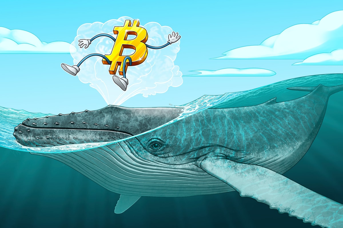 Portal to Bitcoin Raises $25M for Native Bitcoin Swaps